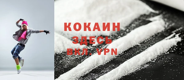 гашик Новодвинск