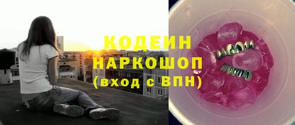 крисы Билибино