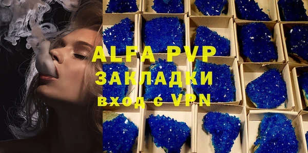 гашик Новодвинск