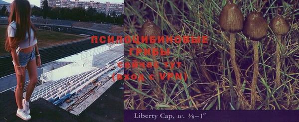 сатива Липки