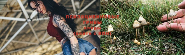 не бодяженный Новозыбков