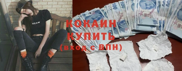 гашик Новодвинск