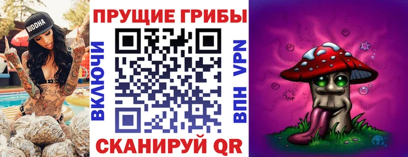 ссылка на мегу сайт  Купино  Галлюциногенные грибы Psilocybe  где купить наркотик 
